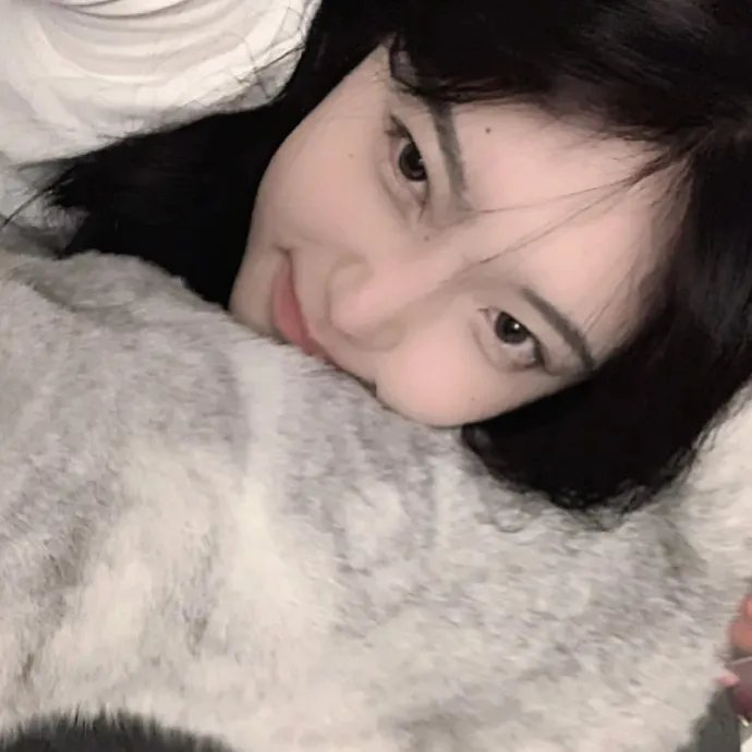 菊石